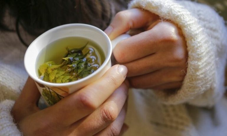 ¿Gripe o resfrío?: las siete hierbas naturales para eliminar la congestión y la tos