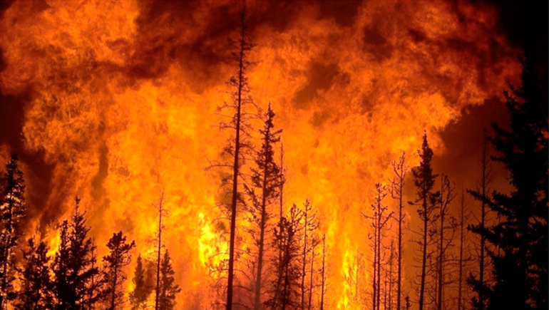 Chile: cuatro muertos y 1.400 hectáreas quemadas por incendios