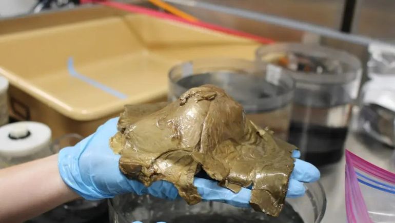 El misterio del Huevo Dorado: la ciencia no sabe qué es