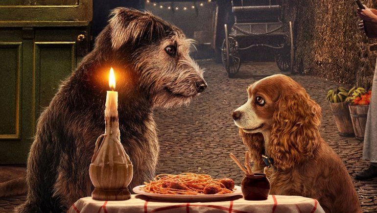 La historia de Monte, de una perrera a estrella de La dama y el vagabundo