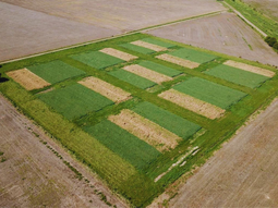 Productores, profesionales y público en general pudieron recorrer las experiencias. Foto: INTA Productores, profesionales y público en general pudieron recorrer las experiencias. Foto: INTA
