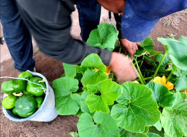 El emprendimiento aún no tiene nombre. Foto: gentileza. El emprendimiento aún no tiene nombre. Foto: gentileza.