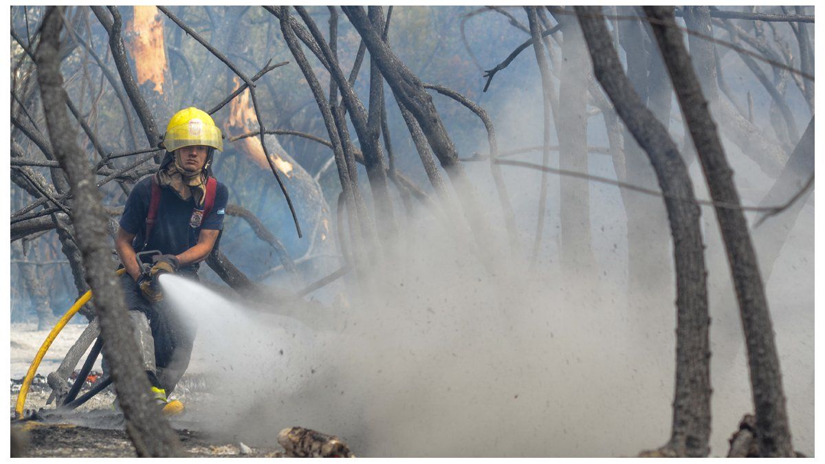 Incendios Arrasaron Unas 40 Hectáreas 3439