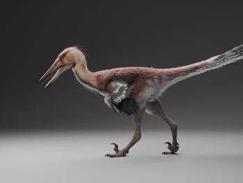 Las investigaciones comenzaron en 2018 realizadas en conjunto por el CONICET y del Museo Argentino de Ciencias Naturales. Las investigaciones comenzaron en 2018 realizadas en conjunto por el CONICET y del Museo Argentino de Ciencias Naturales.
