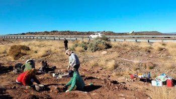 el chocon: descubren fosiles de un dino de 99 millones de anos el chocon: descubren fosiles de un dino de 99 millones de anos