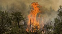 Cholila, una zona de Chubut que suele ser afectada por los incendios forestales. Cholila, una zona de Chubut que suele ser afectada por los incendios forestales.