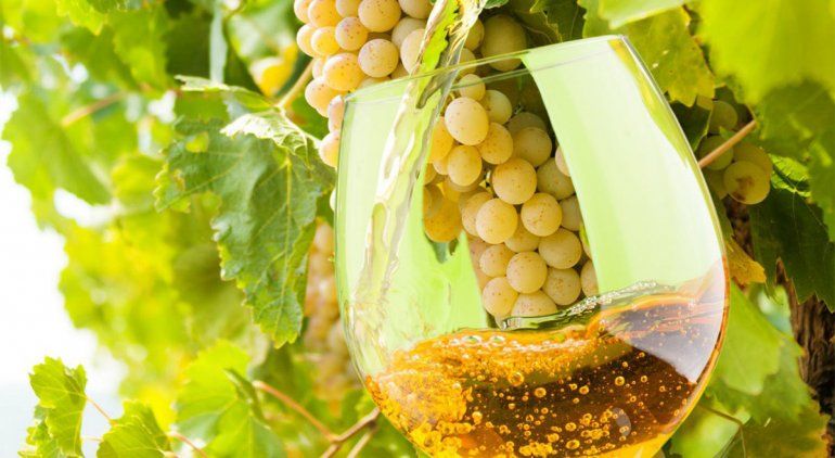 Los deliciosos estilos de Sauvignon Blanc