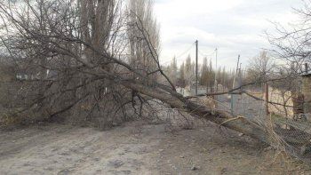 tres alertas afectan a neuquen y rio negro tres alertas afectan a neuquen y rio negro