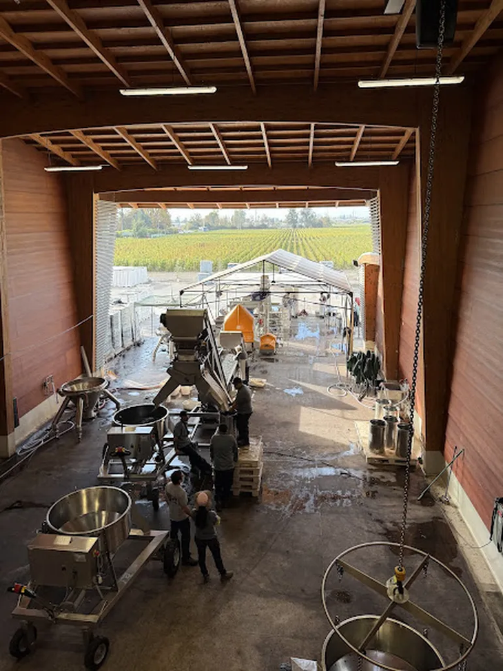 En tintos, la 2025 ofrece más de una vendimia, según sea la región o el punto en que se cosechó. En tintos, la 2025 ofrece más de una vendimia, según sea la región o el punto en que se cosechó.