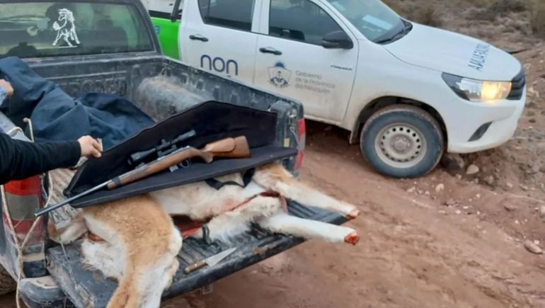 Detectaron caza y pesca furtiva en la provincia.