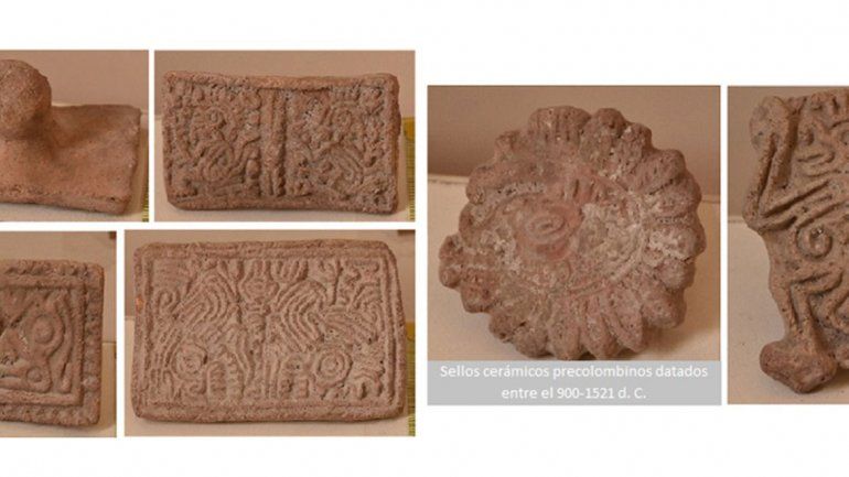 Los 47 elementos eran procedentes del Altiplano Central Mexicano.