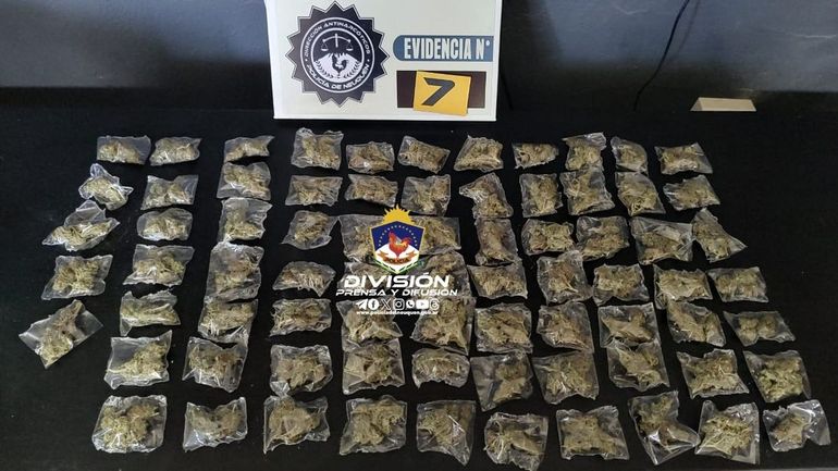 La División Antinarcóticos de Zapala logró secuestrar casi un centenar de cogollos de marihuana. La División Antinarcóticos de Zapala logró secuestrar casi un centenar de cogollos de marihuana.