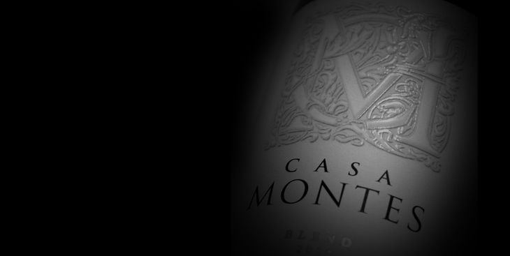 La industria del vino suma un nuevo caso de estrés financiero mientras se agravan los desequilibrios productivos y comerciales. La industria del vino suma un nuevo caso de estrés financiero mientras se agravan los desequilibrios productivos y comerciales.