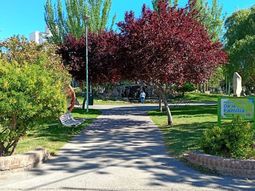 pronostico de domingo caluroso y con viento en el alto valle: a cuanto llegara la maxima pronostico de domingo caluroso y con viento en el alto valle: a cuanto llegara la maxima