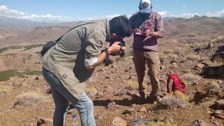 Vaca Muerta y dinosaurios: cómo conviven los paleontólogos con los petroleros