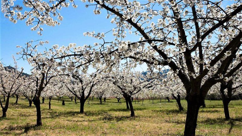 La primavera arranca realmente el lunes en la madrugada