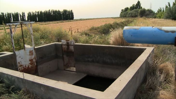 La combinación de radiación y riego convierte a la región en una fábrica desbordante de biomasa vegetal. La combinación de radiación y riego convierte a la región en una fábrica desbordante de biomasa vegetal. 
