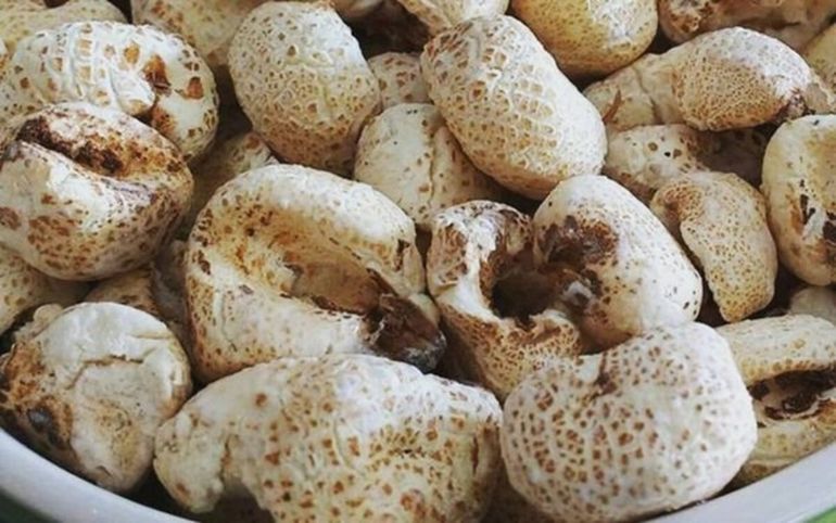 ¡No compres más! Esta es la receta para hacer tutucas caseras que no falla
