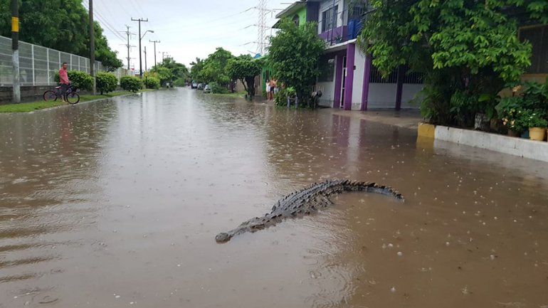 El municipio de Peribán de Ramos es uno de los más afectados.