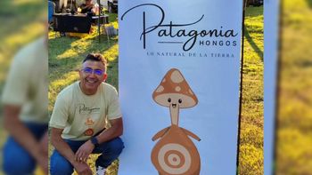electromecanico y sin experiencia previa: empezo a cultivar girgolas y hoy abastece al alto valle electromecanico y sin experiencia previa: empezo a cultivar girgolas y hoy abastece al alto valle