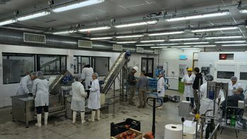 Práctica profesional: Estudiantes de la UNRN realizan ensayos de elaboración en la planta piloto de Villa Regina. | LM Neuquen Práctica profesional: Estudiantes de la UNRN realizan ensayos de elaboración en la planta piloto de Villa Regina.