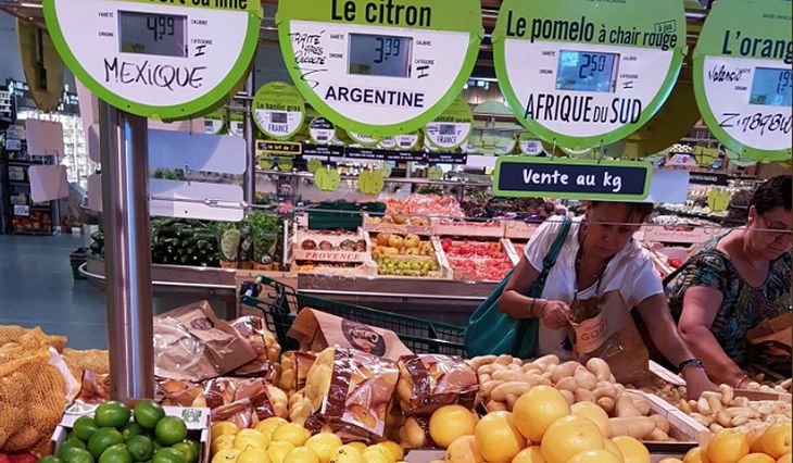 Argentina es un reconocido exportador de cítricos a nivel global. Argentina es un reconocido exportador de cítricos a nivel global.