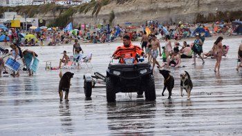 Las Grutas ya tiene su playa dedicada a las mascotas