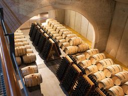 Las exportaciones de vinos de la Patagonia, una fuente de divisas para el país. Las exportaciones de vinos de la Patagonia, una fuente de divisas para el país.