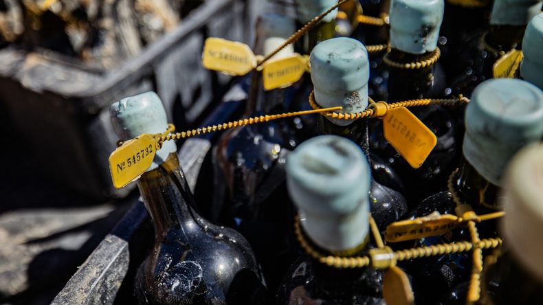 Premiurización: Las botellas sumergidas pueden multiplicar hasta por cinco su valor de mercado. | LM Neuquen Premiurización: Las botellas sumergidas pueden multiplicar hasta por cinco su valor de mercado.
