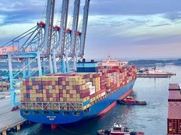 Día 8 en el puerto de Nansha. El Maersk Saltoro continúa con gran parte de su carga de cerezas sin poder desembarcar. Día 8 en el puerto de Nansha. El Maersk Saltoro continúa con gran parte de su carga de cerezas sin poder desembarcar.