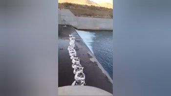 video: por un error de obra peligra la vida de 300 mil truchas video: por un error de obra peligra la vida de 300 mil truchas