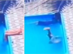 Brasil: Murió ahogada tras un fatídico acciente en la pileta. Brasil: Murió ahogada tras un fatídico acciente en la pileta.