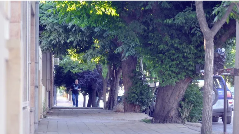 Un árbol causa una gran discusión entre dos vecinos, lo cortan por la mitad y se convierte en una atracción turística