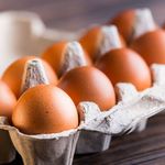 Ni fritos ni revueltos: la forma correcta de cocinar los huevos y aprovechar todos sus nutrientes | LM Neuquen Ni fritos ni revueltos: la forma correcta de cocinar los huevos y aprovechar todos sus nutrientes