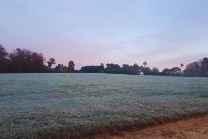 La precisión de los pronósticos meteorológicos disminuye a medida que se alejan en el tiempo. Foto: INTA La precisión de los pronósticos meteorológicos disminuye a medida que se alejan en el tiempo. Foto: INTA