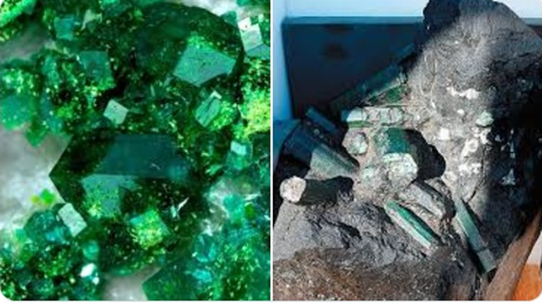 Fue extraída hace más de dos décadas de una mina en Bahía Fue extraída hace más de dos décadas de una mina en Bahía