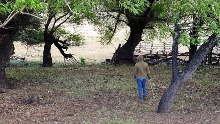 Un sitio ideal para acampar en el corazón de la Región del Pehuén. Un sitio ideal para acampar en el corazón de la Región del Pehuén.