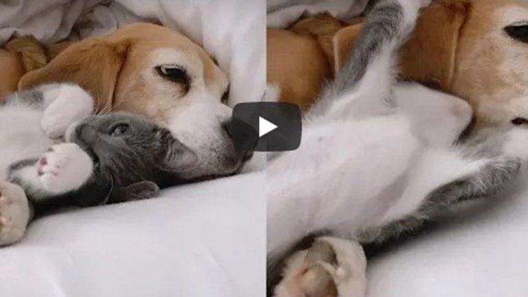 Este par no deja de sumar reproducciones en YouTube