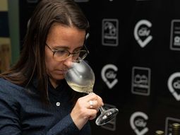 El Mercado de Vinos promete ser una jornada inolvidable. El Mercado de Vinos promete ser una jornada inolvidable.