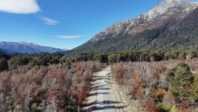 Avanzan los trabajos de asfalto sobre la Ruta Provincial 65 hacia Villa Traful