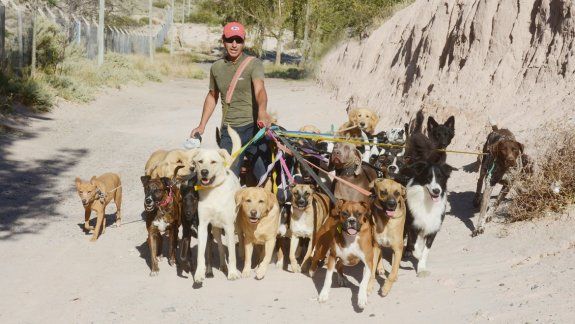 Muchos paseadores se reúnen cerca de Plaza de las Banderas, donde los perros juegan antes de seguir el recorrido.&nbsp;