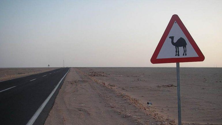 El tenebroso hallazgo en Google Maps asusta a todos en TikTok