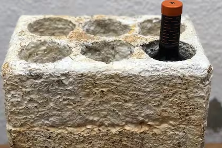 El certamen se enmarca en el Programa Integral de Sostenibilidad para el Vino Argentino “Sustenta Vitis”. El certamen se enmarca en el Programa Integral de Sostenibilidad para el Vino Argentino “Sustenta Vitis”.