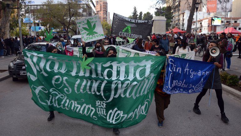 Marcha por la legalización de la marihuana al grito de cultivar es un derecho