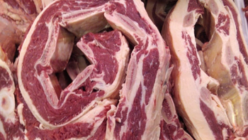 Los ganaderos lanzan una ofensiva judicial para frenar la resolución del SENASA que permite el ingreso de asado con hueso a la Patagonia. Los ganaderos lanzan una ofensiva judicial para frenar la resolución del SENASA que permite el ingreso de asado con hueso a la Patagonia.