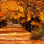 Cómo será el otoño 2026 en Argentina, según reveló el Servicio Meteorológico: las temperaturas y lluvias | LM Neuquen Cómo será el otoño 2026 en Argentina, según reveló el Servicio Meteorológico: las temperaturas y lluvias