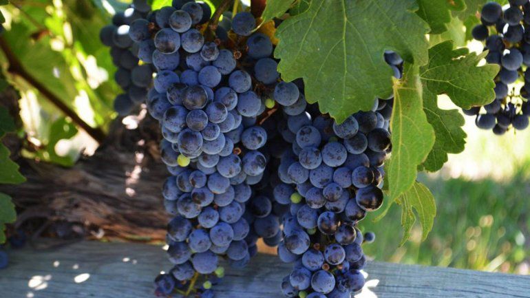 La Ruta que todos quieren recorrer