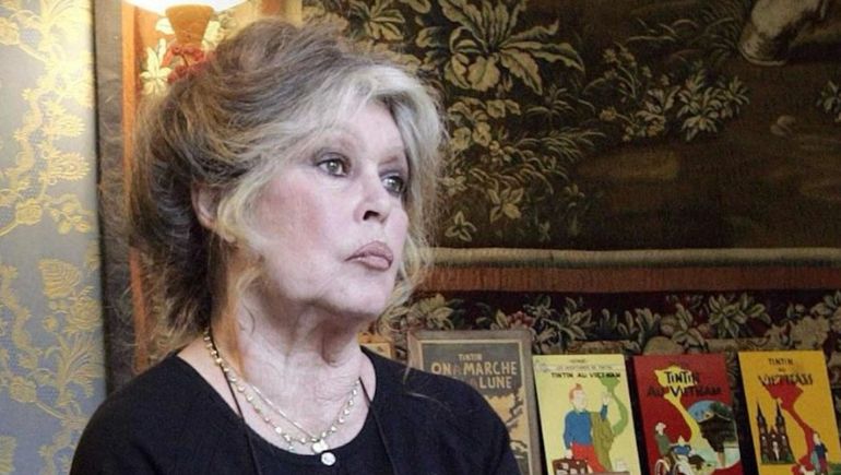 Brigitte Bardot salió del hospital el pasado viernes luego de permanecer internada las últimas tres semanas.  | LM Neuquen Brigitte Bardot salió del hospital el pasado viernes luego de permanecer internada las últimas tres semanas.