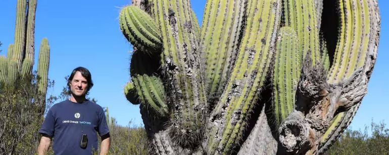 Pedro Jaureguiberry, nuevo “Premio Nobel de Ecología”. Foto: La Nación. Pedro Jaureguiberry, nuevo “Premio Nobel de Ecología”. Foto: La Nación.