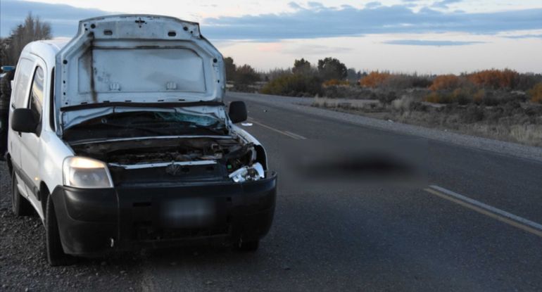La Citroen Berlingo y el hombre atropellado circulaban en el mismo sentido por la ruta 3. La Citroen Berlingo y el hombre atropellado circulaban en el mismo sentido por la ruta 3.